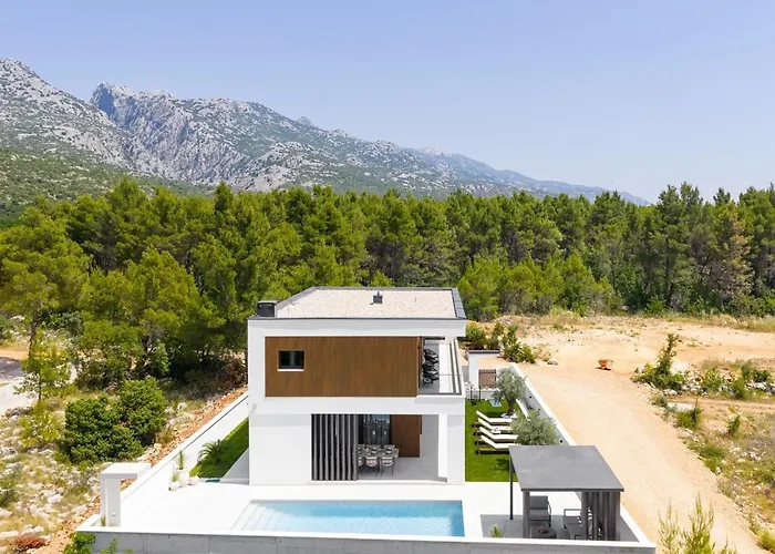 New! Luxury Cvita-design Award Winner 2025