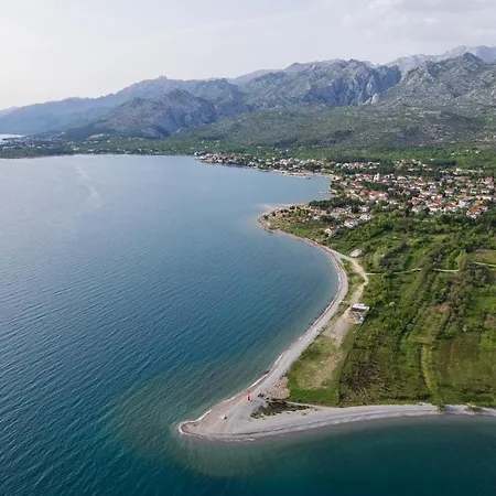 New! Luxury Cvita-design Award Winner 2025 * Seline