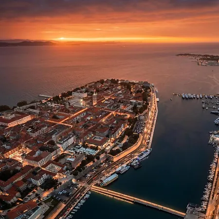 New! Luxury Cvita-design Award Winner 2025 Seline