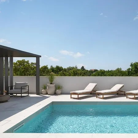 New! Luxury Cvita-design Award Winner 2025 * Seline